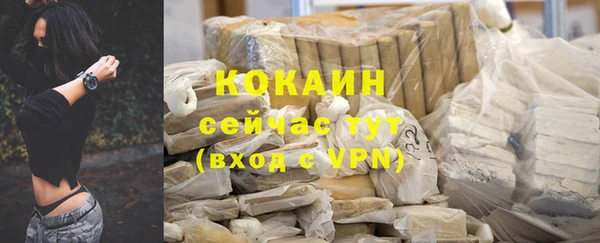 молекула духа Елабуга