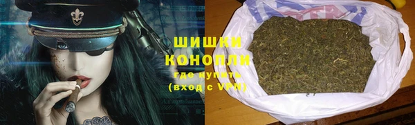 молекула духа Елабуга