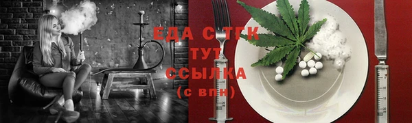 молекула духа Елабуга