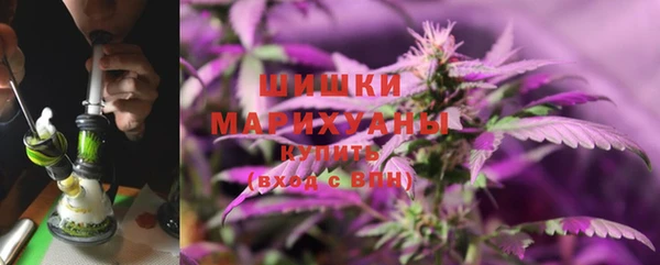 эйфоретик Ельня