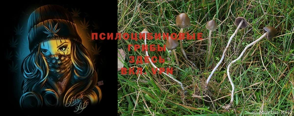 молекула духа Елабуга