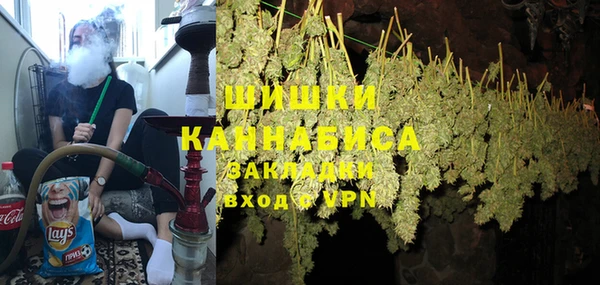 эйфоретик Ельня