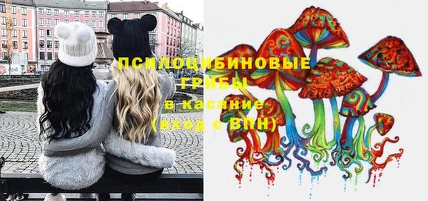 молекула духа Елабуга