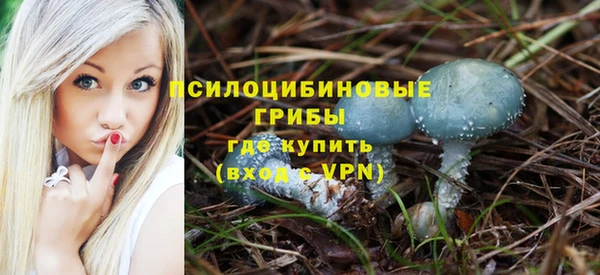эйфоретик Ельня