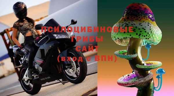 ГАЛЛЮЦИНОГЕННЫЕ ГРИБЫ Елизово