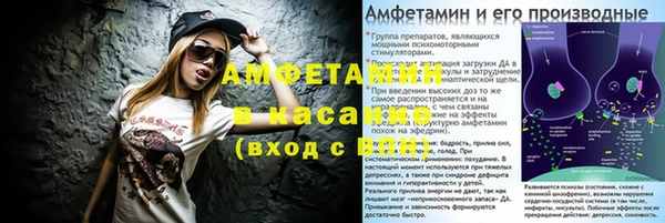 молекула духа Елабуга