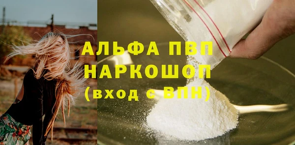 молекула духа Елабуга