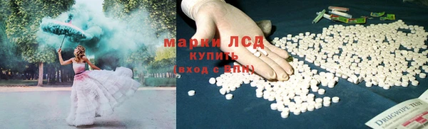 ГАЛЛЮЦИНОГЕННЫЕ ГРИБЫ Елизово