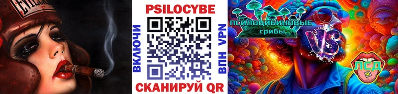 Галлюциногенные грибы Magic Shrooms  Купить где  Короча 